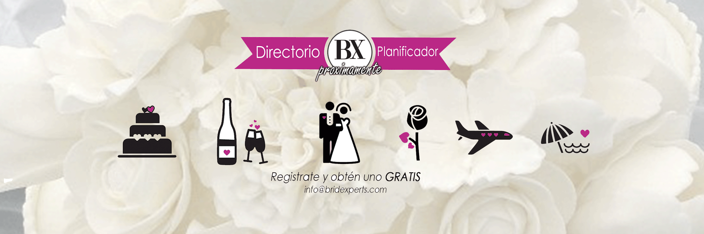 Bridexperts banner