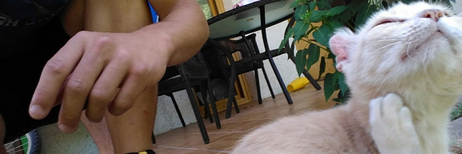 baraibarirel's profile banner image