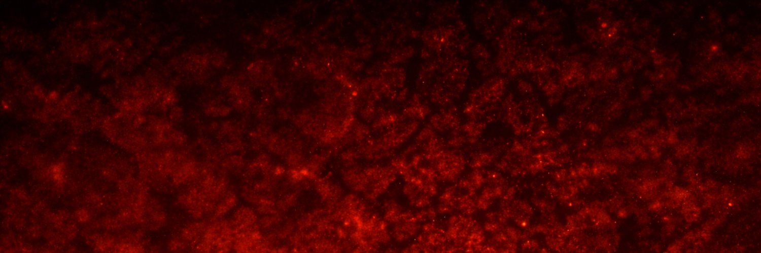 MrDeymo's profile banner image