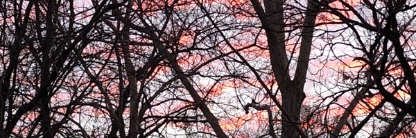 drjagodinsky Profile Banner
