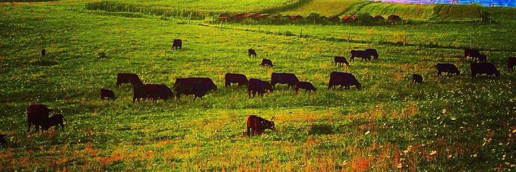 kylejohns7's profile banner image