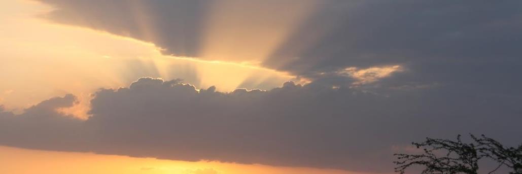 DrJ_Transitions's profile banner image