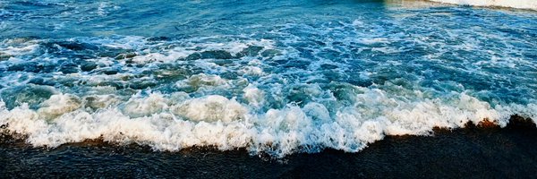 souvenger Profile Banner