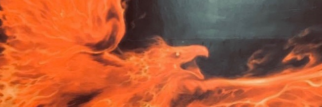 amrlshkr's profile banner image