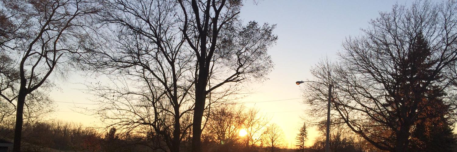 MichaelLFerchau's profile banner image