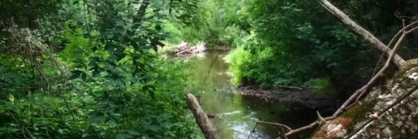 RiverFishingFun Profile Banner