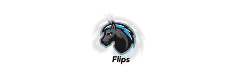 Flipings banner