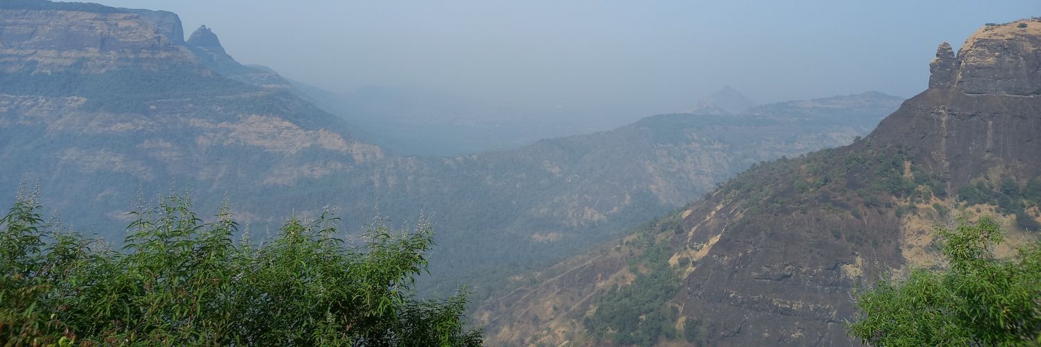 Radheshyam Menaria banner