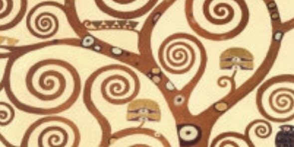 Dr. Gina Cinotti banner