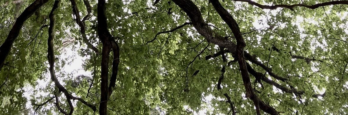 ♡ banner
