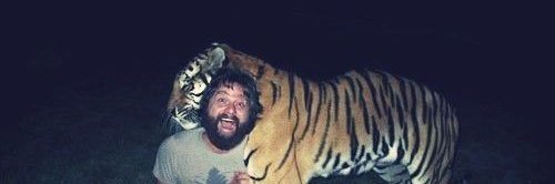 Callum Davies banner