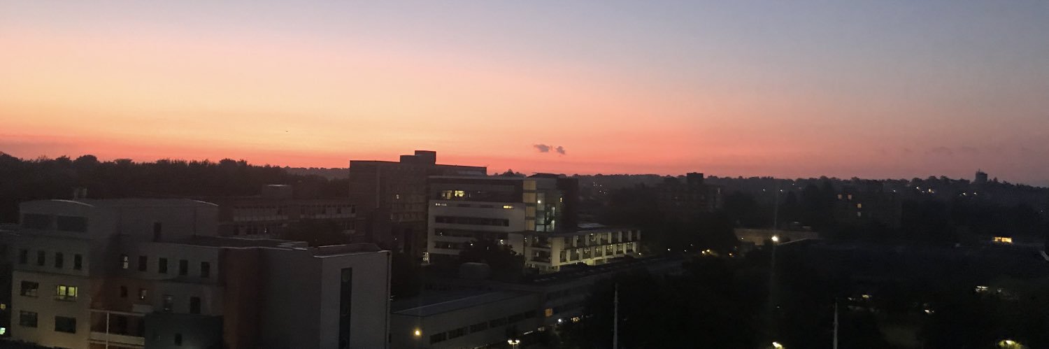 EimearCronin's profile banner image