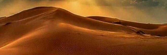 alsamer6666's profile banner image