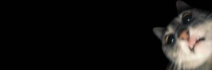 Bits Of B banner