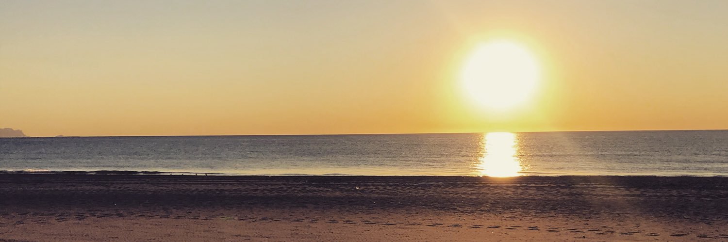 Sara Fernández Pastor banner