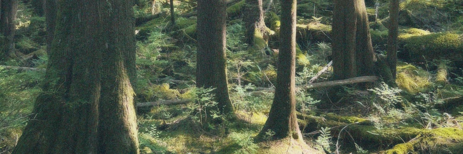 macsmiitth's profile banner image