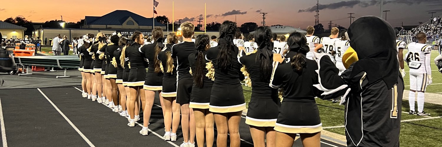 Foster Cheer banner