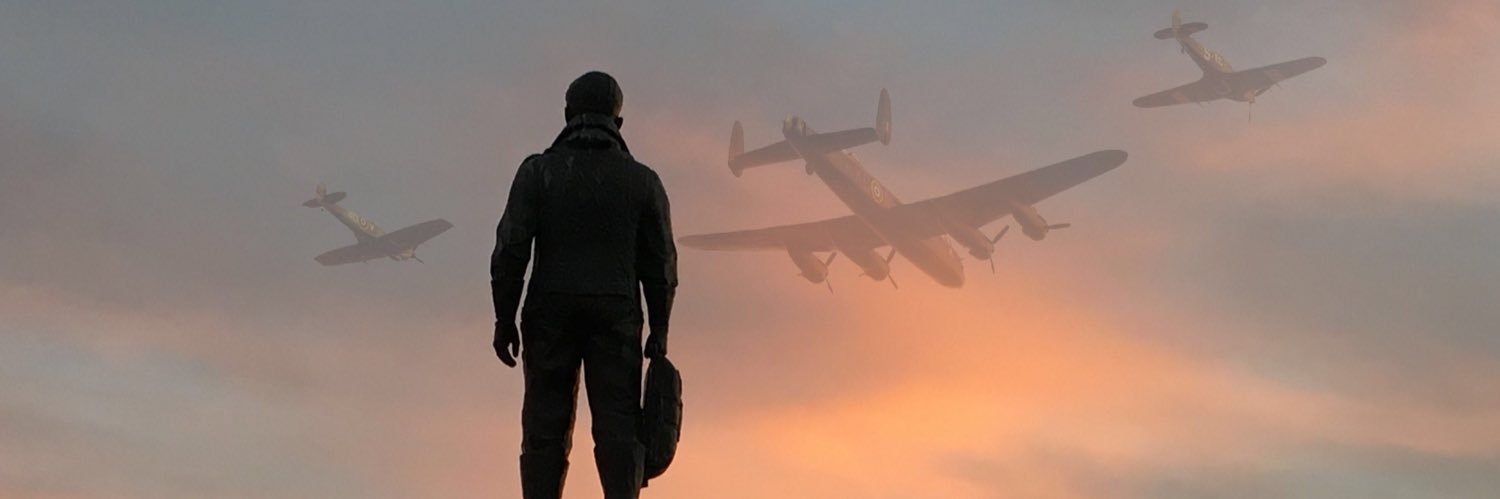 Wesley Ashton banner