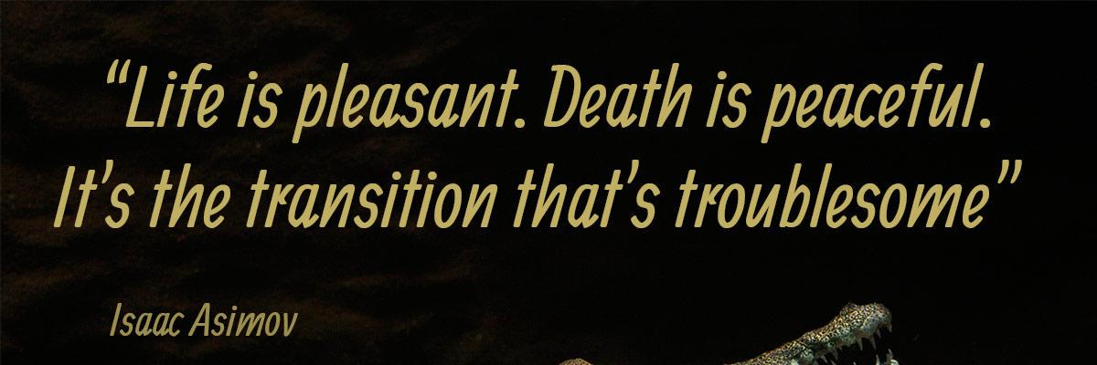 TheBrownPlayer's profile banner image