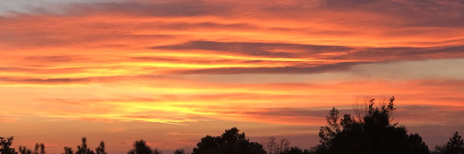 Gaeltacht Colorado 🇮🇪 ❤️ 🇵🇸 banner