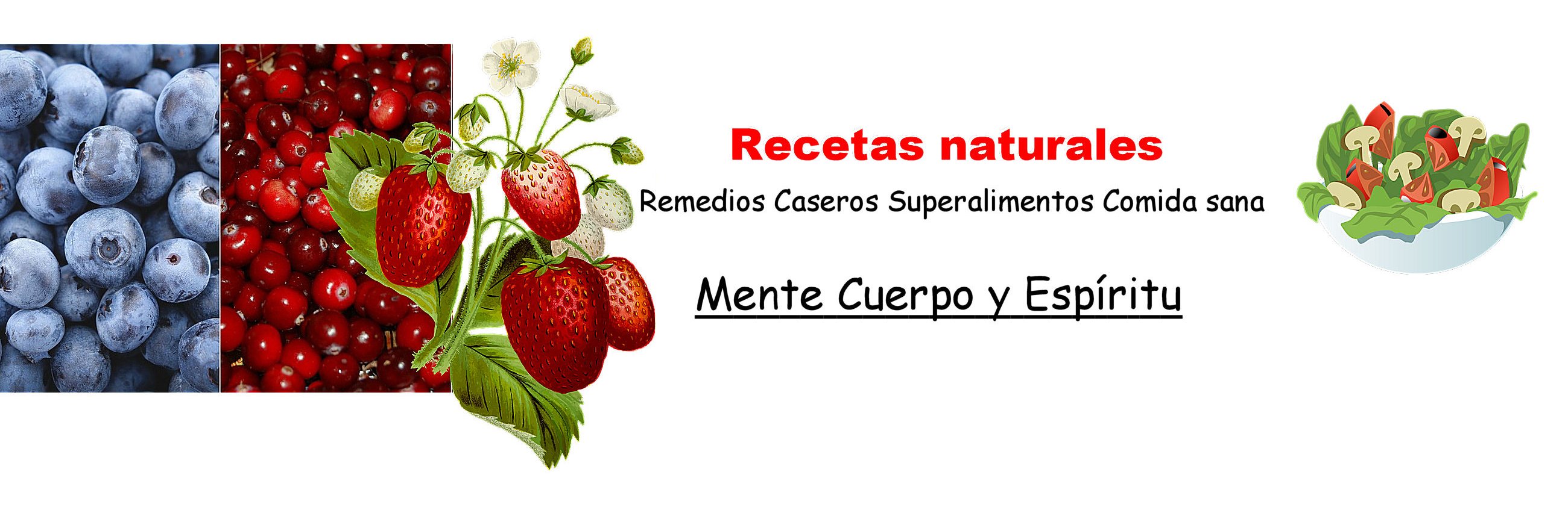 Milagil Remedios Naturales banner