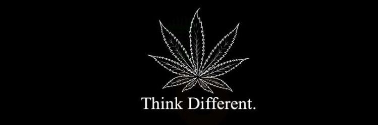 HighTimes_Binx's profile banner image