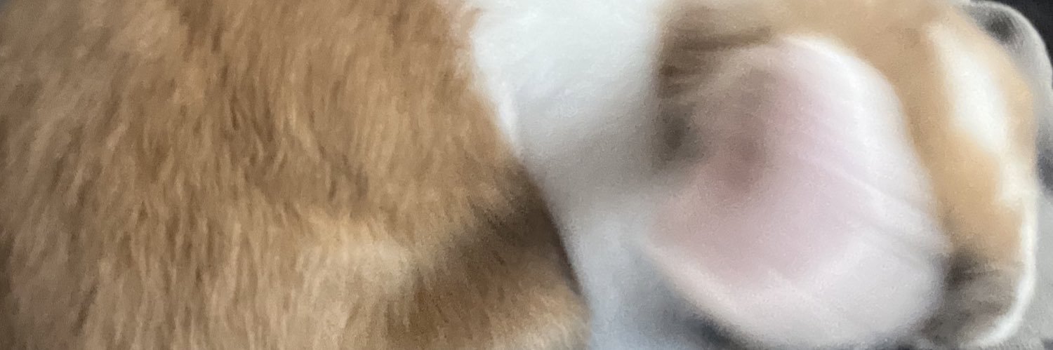 Zachly banner