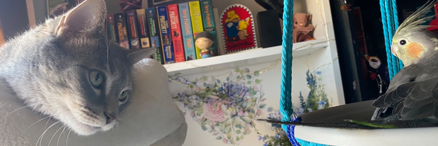 ladybookbat's profile banner image