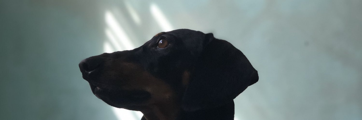 Chazmoh's profile banner image