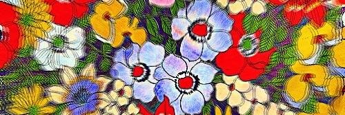Chalinna Lee banner