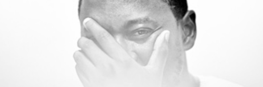DaNLaDi banner