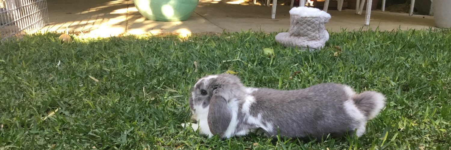 Fix the planet: be progressive - 🇵🇸 banner