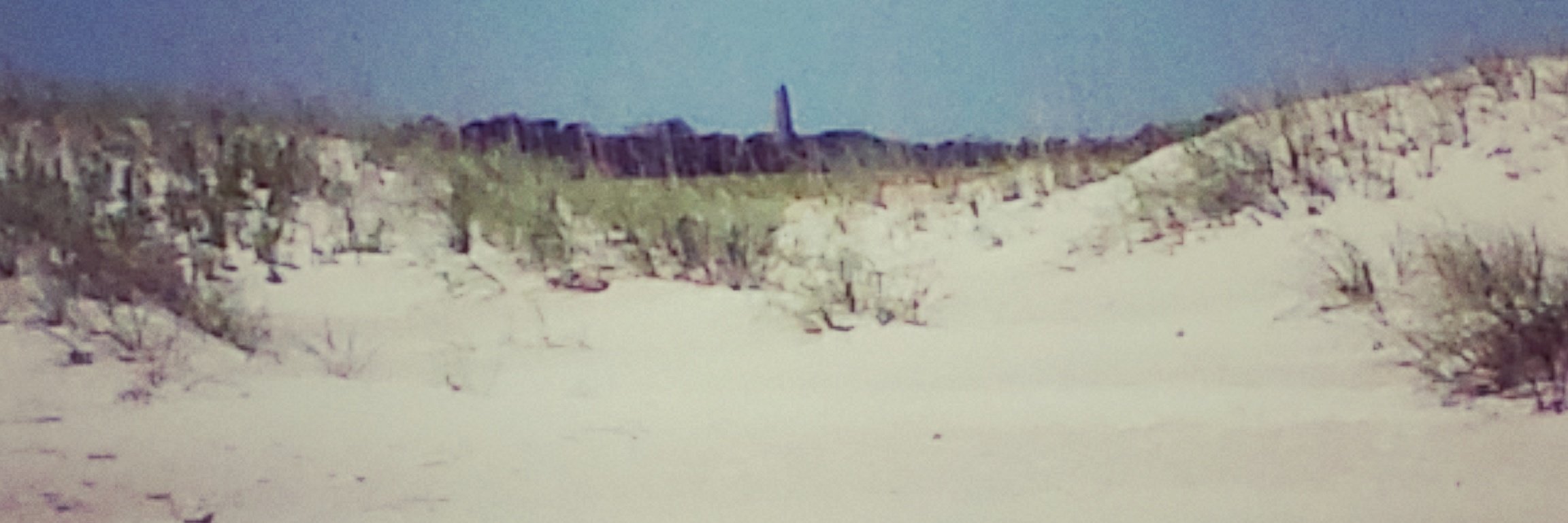 BOARDWALK ROB banner