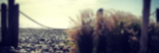 HeliGundis's profile banner image