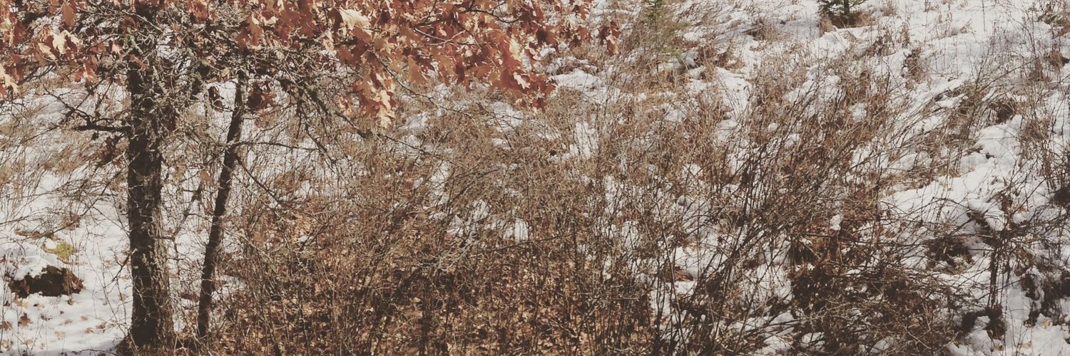 SeanPMcCarthy_1's profile banner image