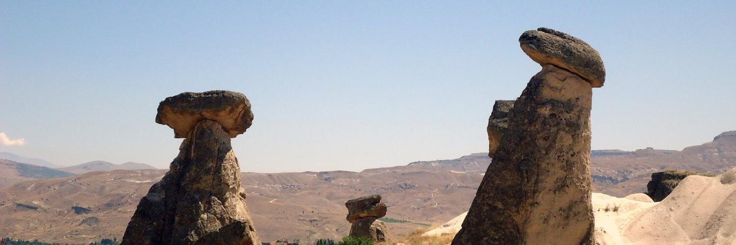 mshemuni's profile banner image