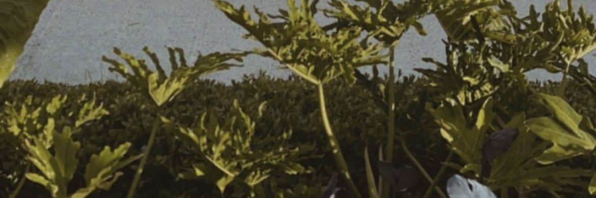 Julubiann's profile banner image