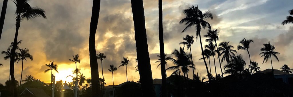 jillreeed's profile banner image