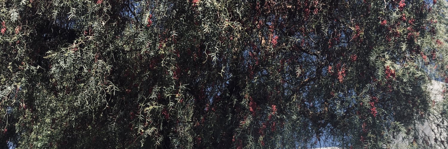 LaChicaDelEcran 🌳empero crítica. banner