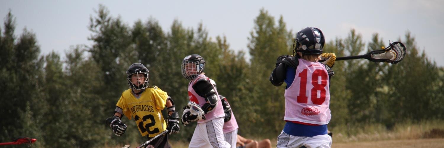 Gary S. Playsted banner