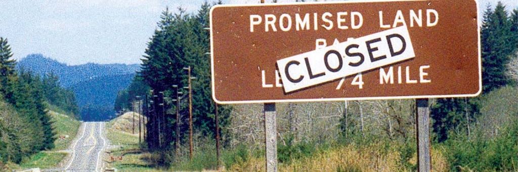 🍄Ellis Dee🍄 banner