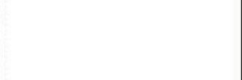 cuentafake__'s profile banner image