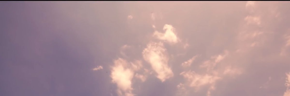 nikol banner