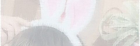 lpqsa's profile banner image