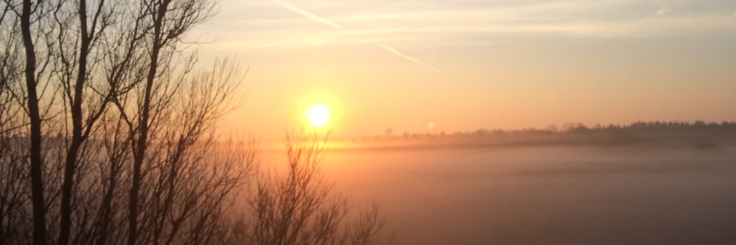 sleepyspod's profile banner image