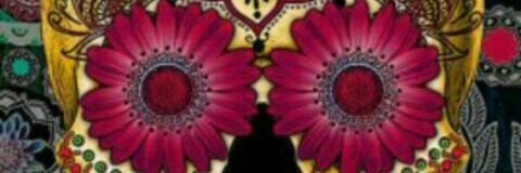 pacosuu's profile banner image