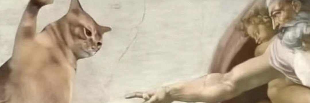 Corlin banner