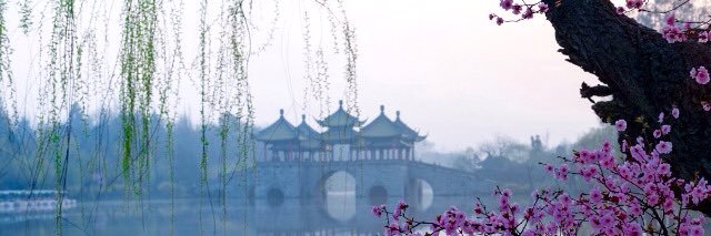 yawneng's profile banner image