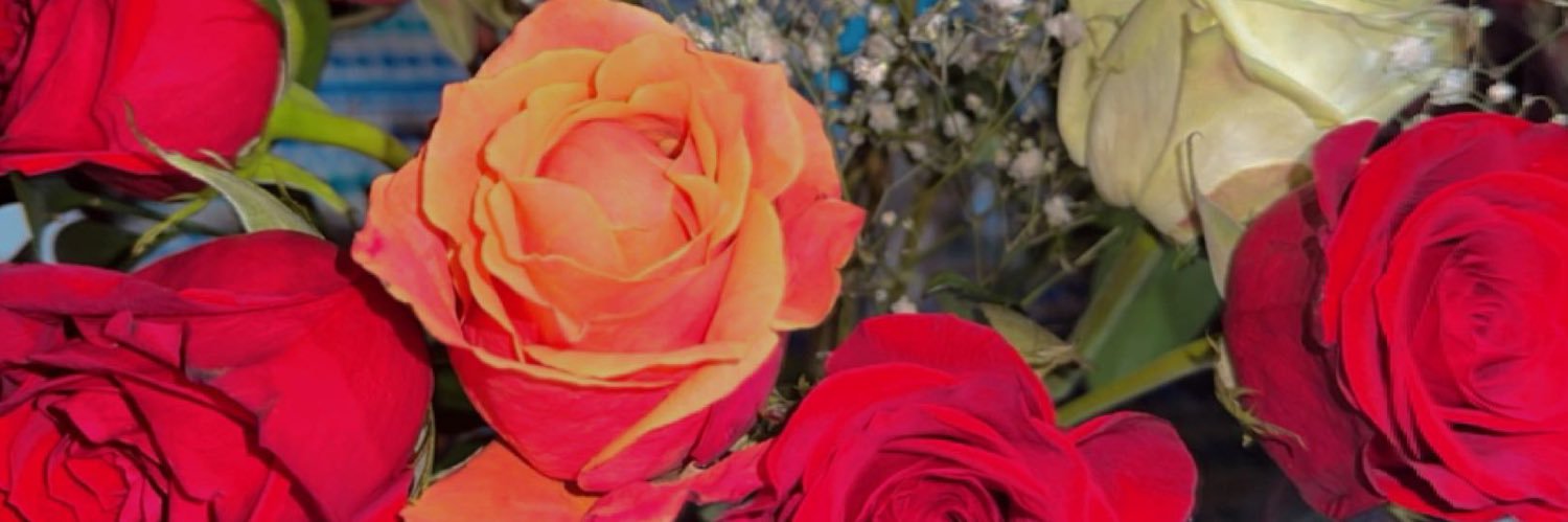 annarae_22's profile banner image