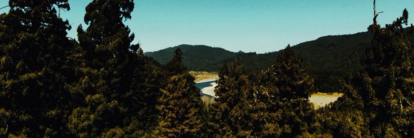 cannadips Profile Banner